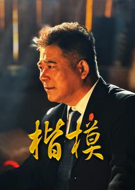 无忧花开 电视剧国语版